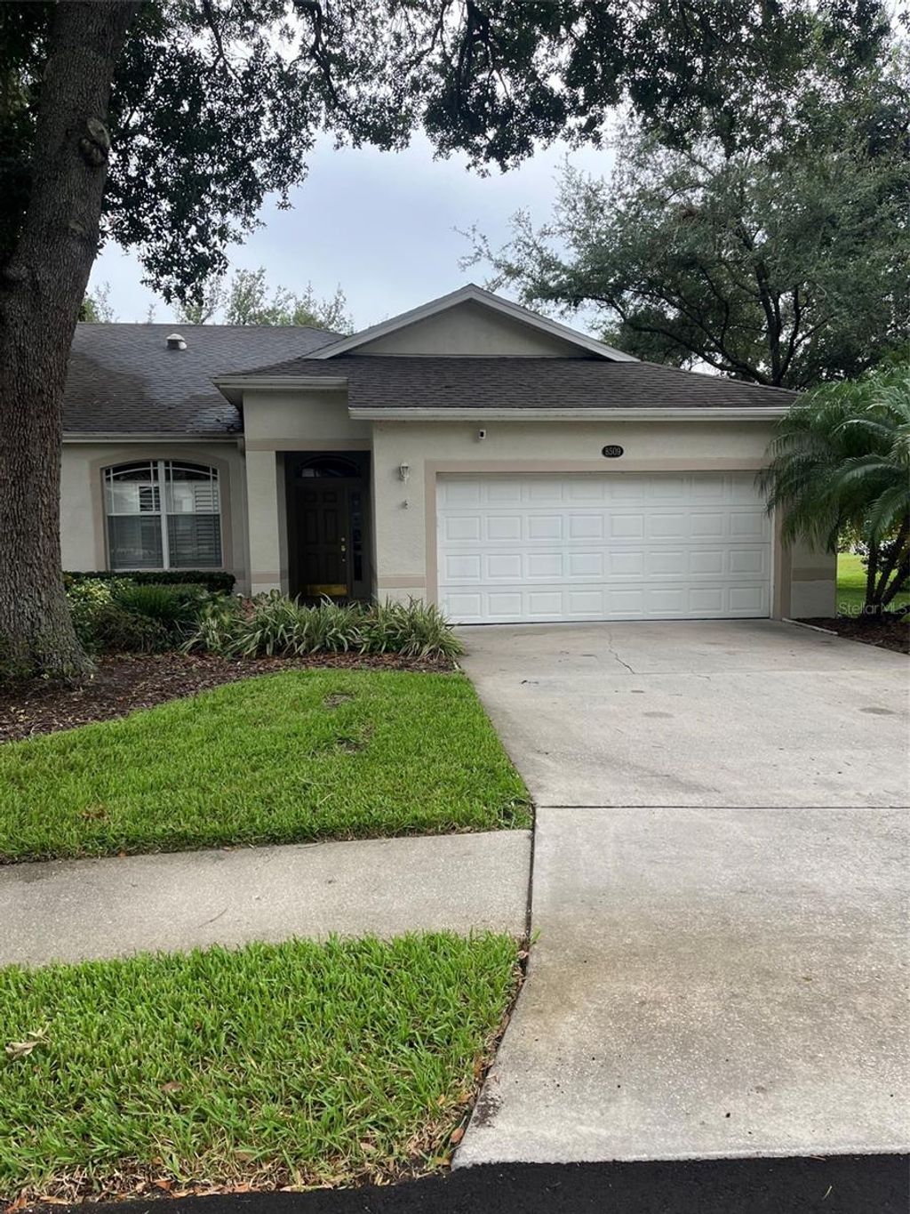 Photo of 8509 Alexandra Arbor Lane, Tampa, FL 33637 (MLS # TB8524413)