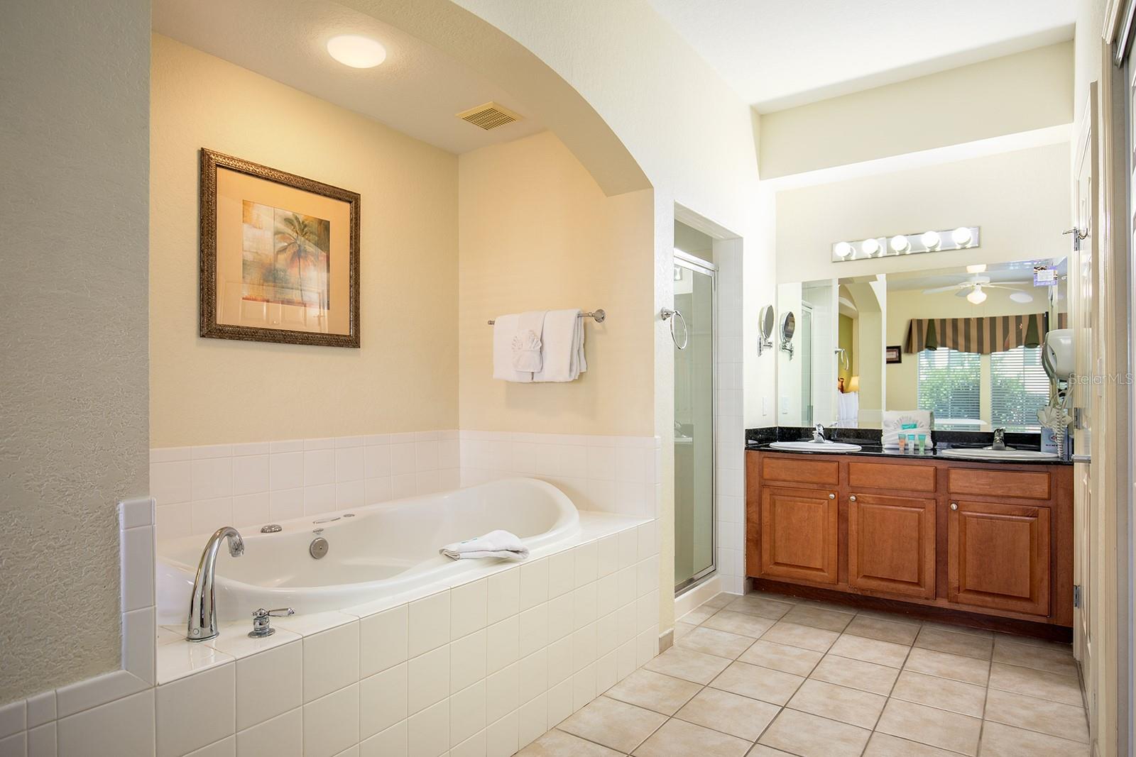 LAKE BUENA VISTA RESIDENCE VILLAGE I - Residential