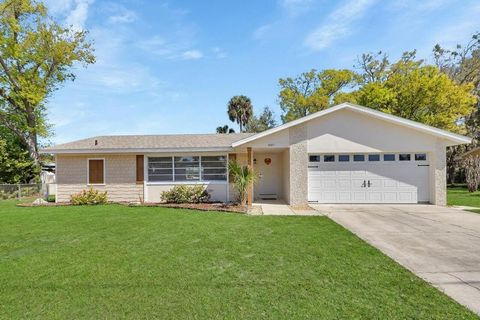 1007 CRESCENT PARKWAY DELAND FL 32724