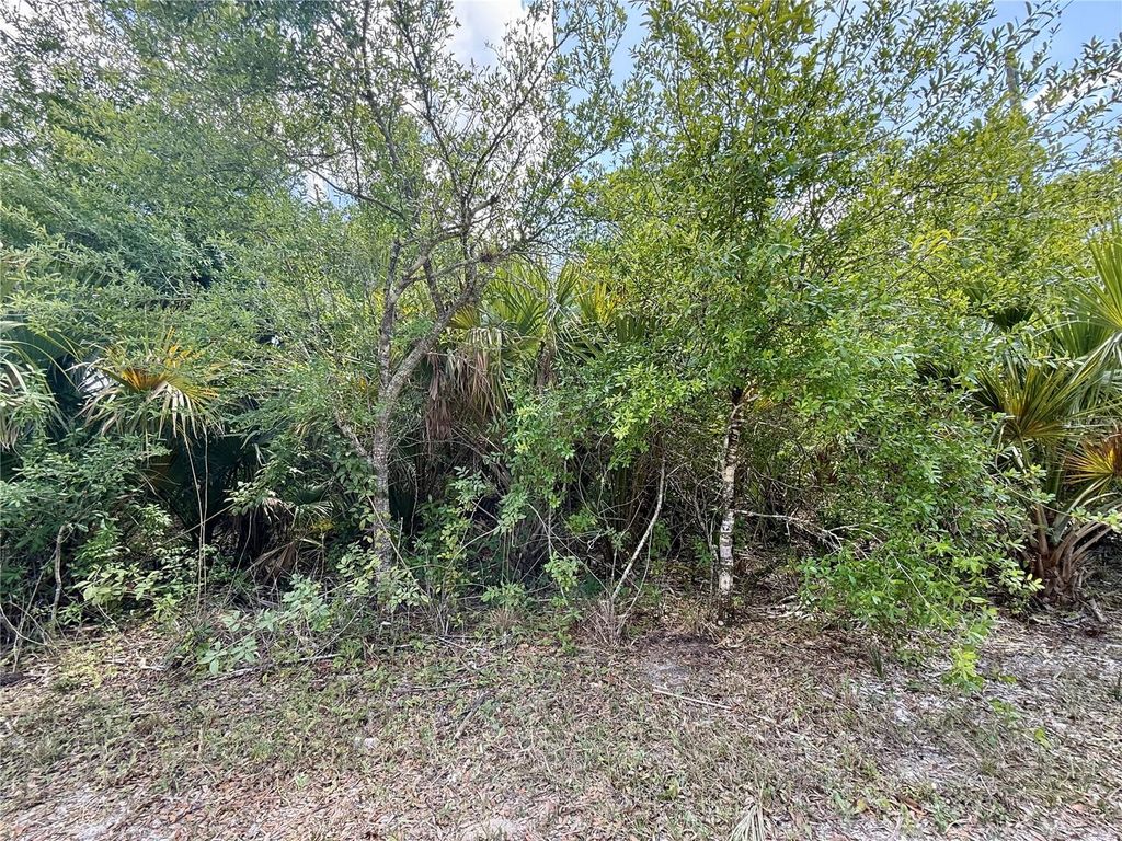 Photo of 27263 Las Lomas Drive, Punta Gorda, FL 33955 (MLS # C7508453)