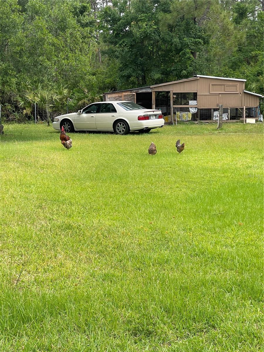 DAYTONA NORTH - Residential