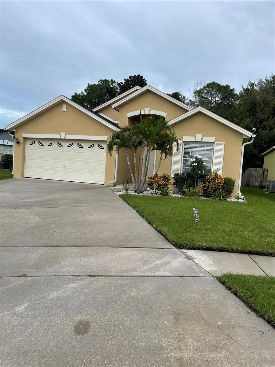 519 TREE SHORE DRIVE