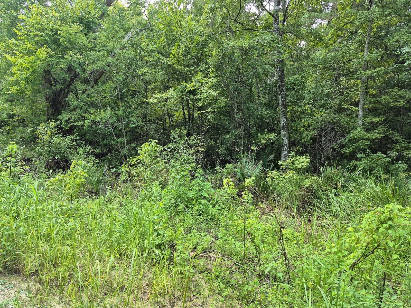 New homes built just lots away. Country setting and lot is now available.