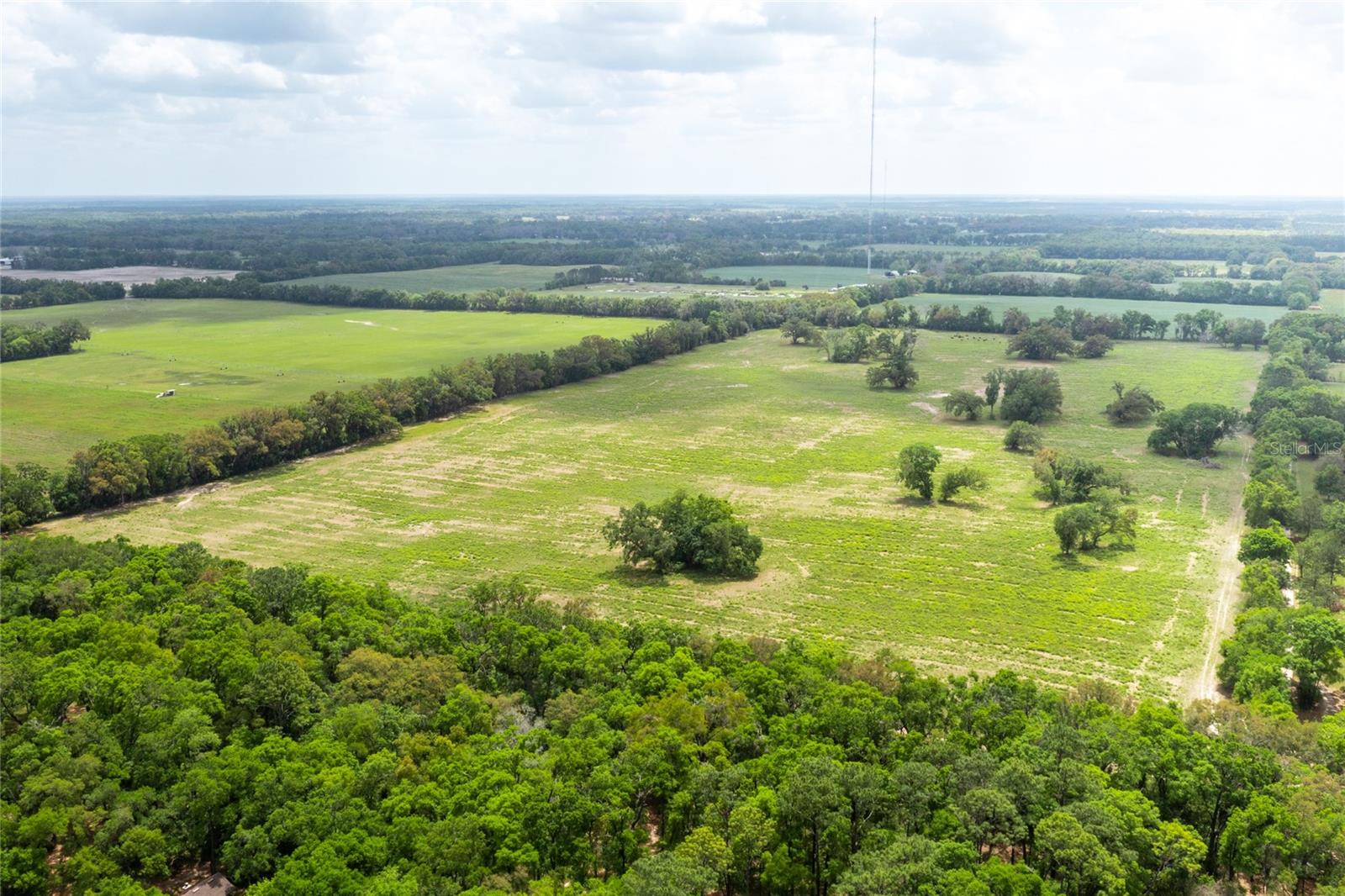 MAGNOLIA ACRES - Land