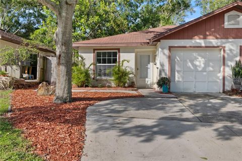 2730 LANGSTAFF DRIVE PALM HARBOR FL 34684