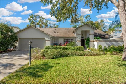 A home in TAMPA