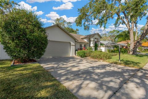 A home in TAMPA