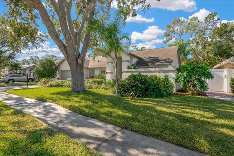 A home in TAMPA