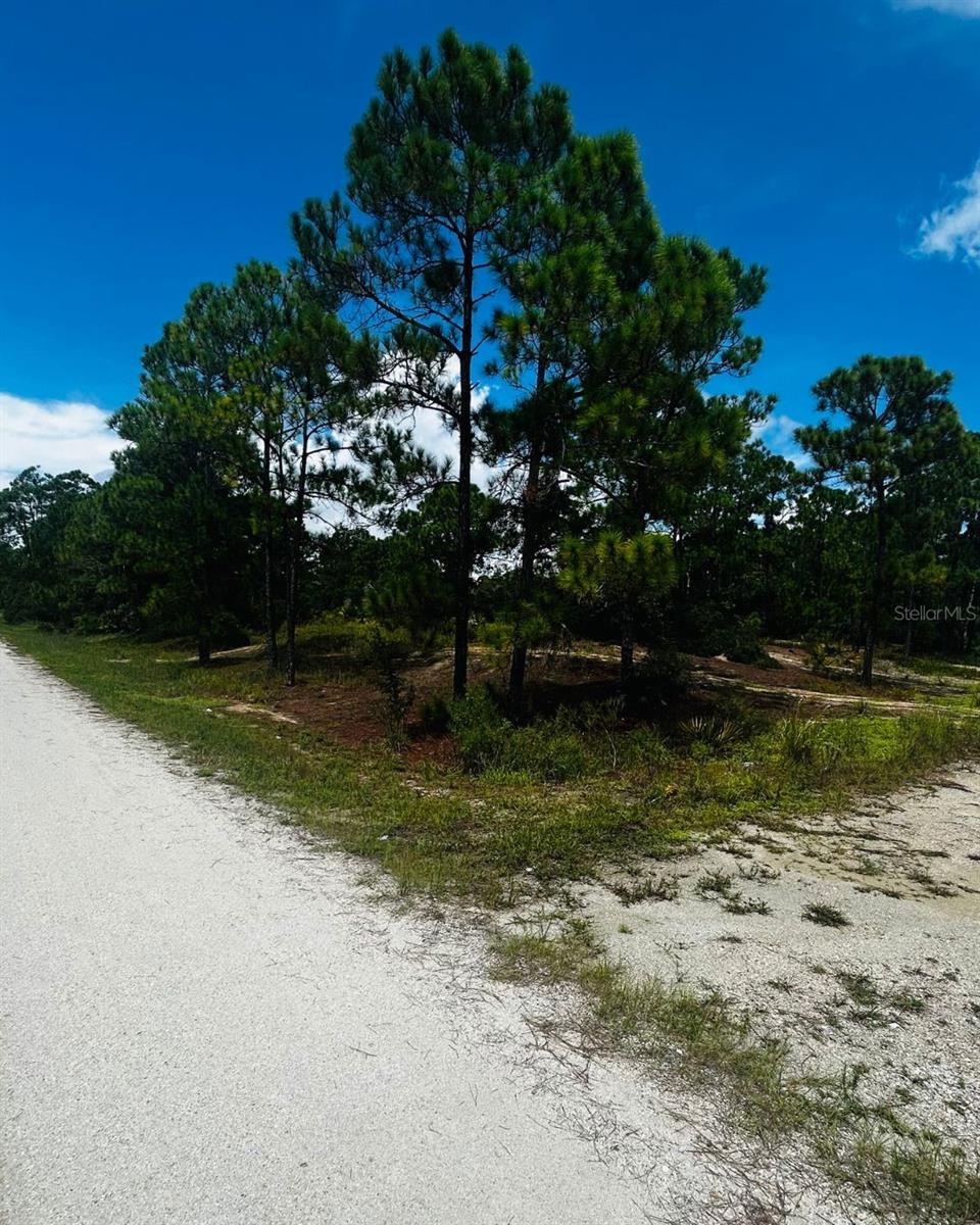 Discover the perfect opportunity to build your dream home or invest in one of Florida’s most charming towns! This vacant lot in Lake Placid, known as the “Town of Murals” and the “Caladium Capital of the World” offers peaceful surroundings, small-town charm, and access to over 27 freshwater lakes for boating, fishing, and water sports. Conveniently located near local shops, dining, golf courses, and just a short drive to Sebring and major highways, this property combines tranquility with accessibility. Whether you’re planning your forever home, a seasonal getaway, or an investment property, this lot is full of potential. Don’t miss your chance to own a piece of Lake Placid!