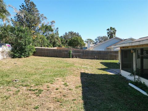 A home in DELTONA