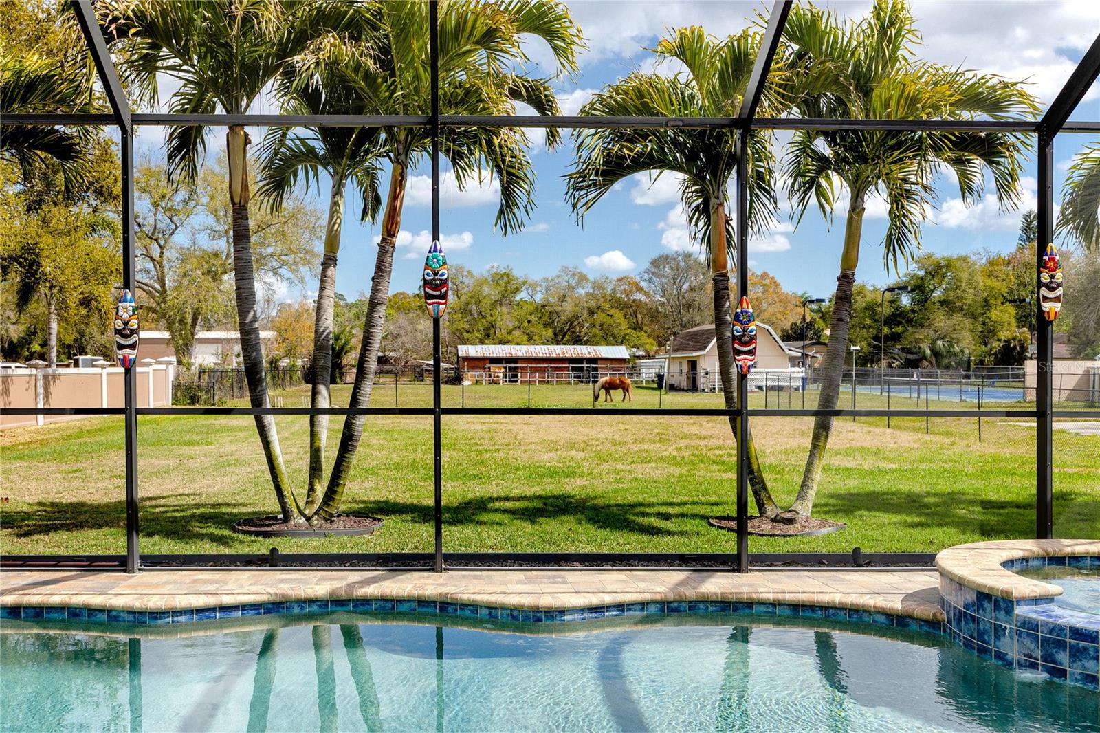 PINELLAS GROVES - Residential