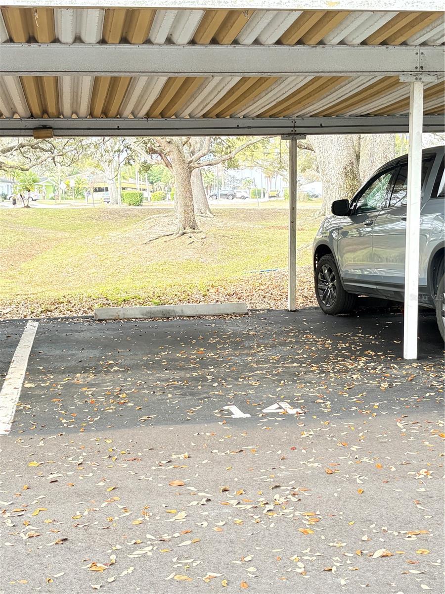 PATRICIAN OAKS - Residential