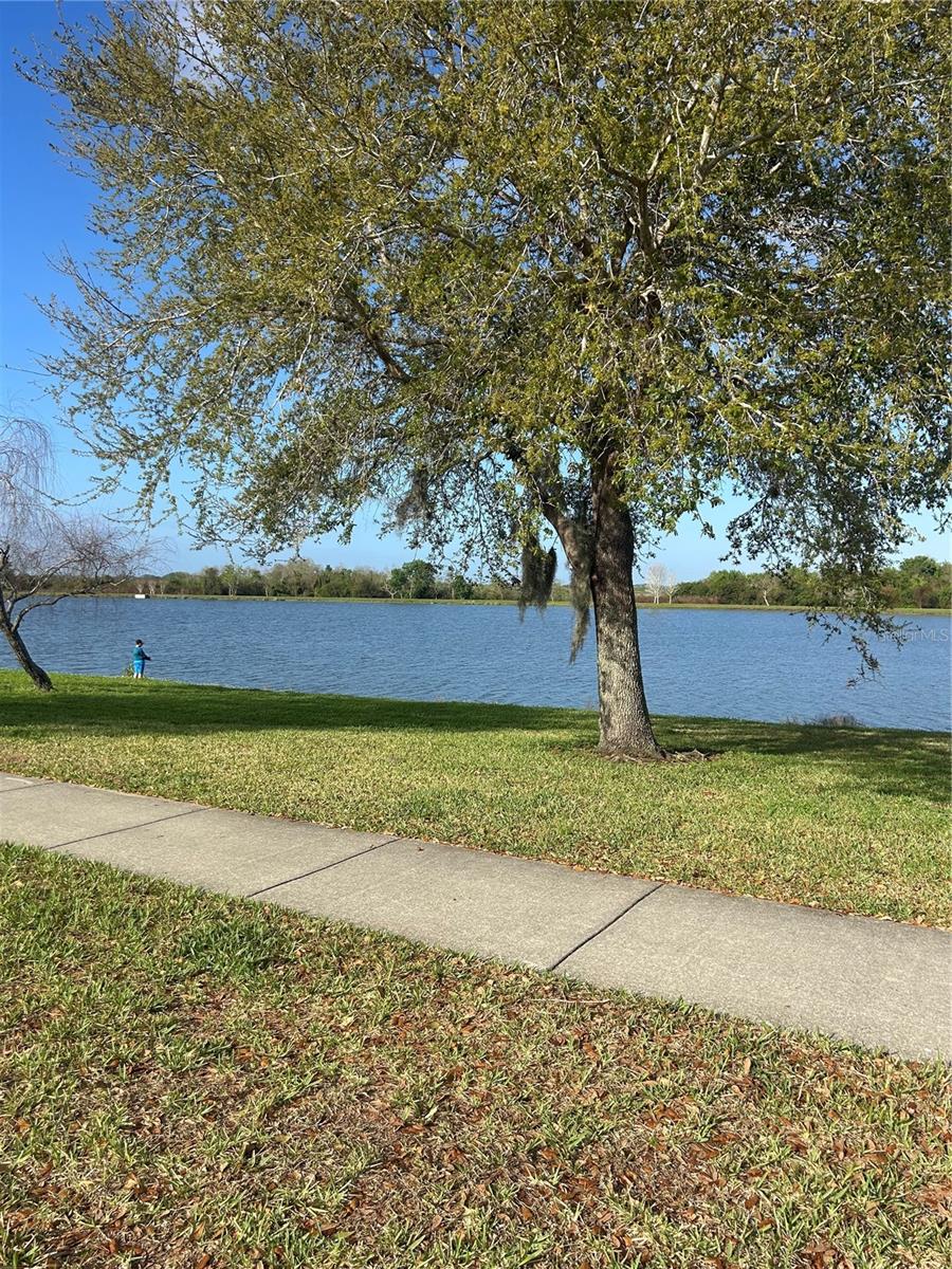 PRESERVE AT TURTLE CREEK PH 5 - Residential