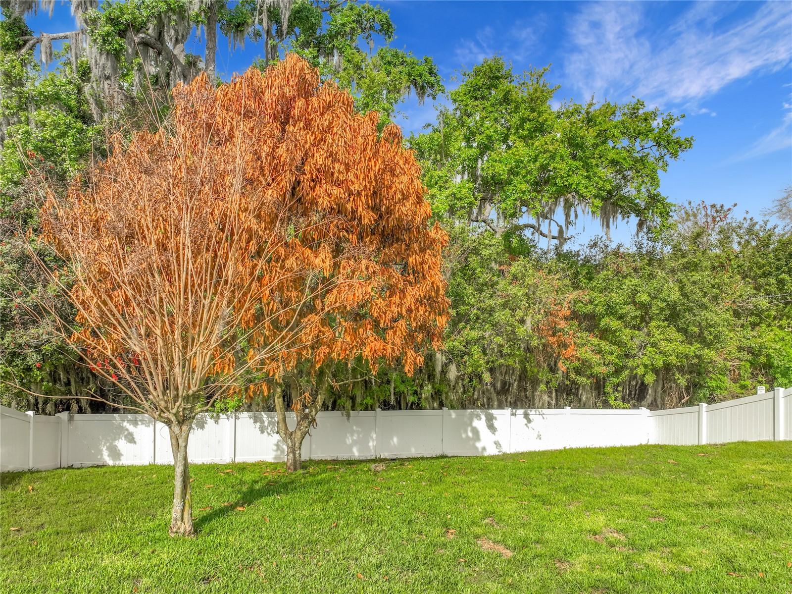 PRESERVE AT TURTLE CREEK PH 5 - Residential