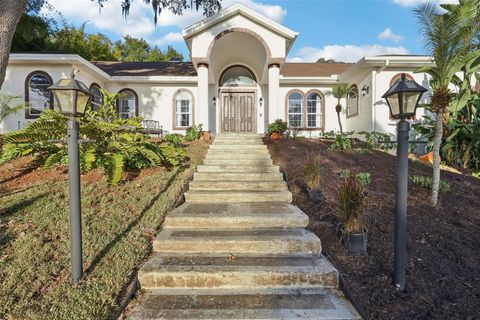 Tiny photo for 16400 Lakeshore Drive, Minneola, FL 34715 (MLS # O6368023)