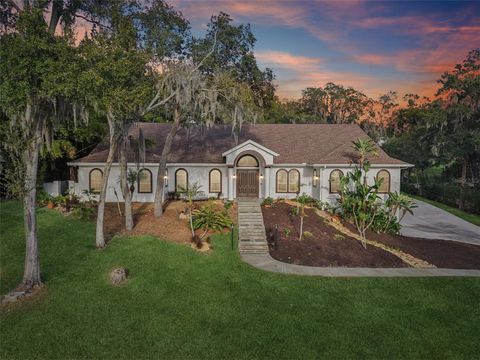 Tiny photo for 16400 Lakeshore Drive, Minneola, FL 34715 (MLS # O6368023)