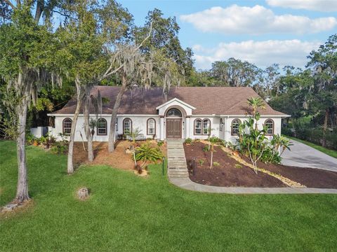 Photo of 16400 Lakeshore Drive, Minneola, FL 34715 (MLS # O6368023)