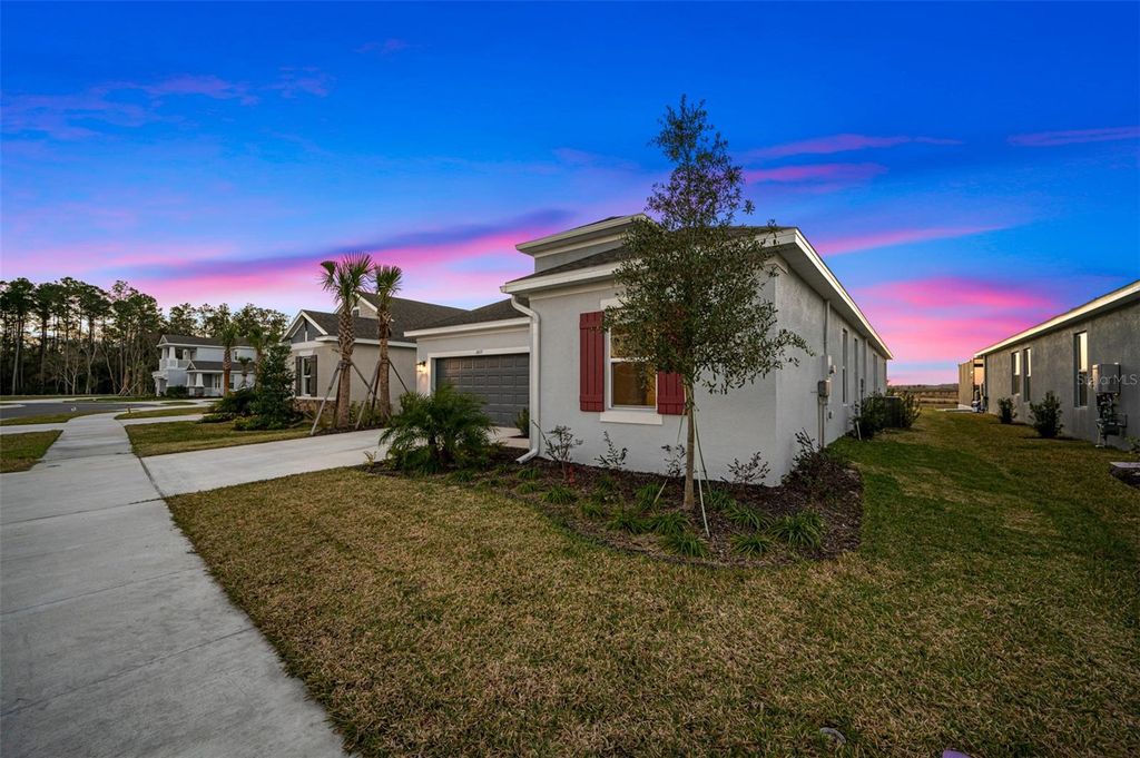 Photo of 2077 Riparian Lane, Wesley Chapel, FL 33543 (MLS # T3504819)