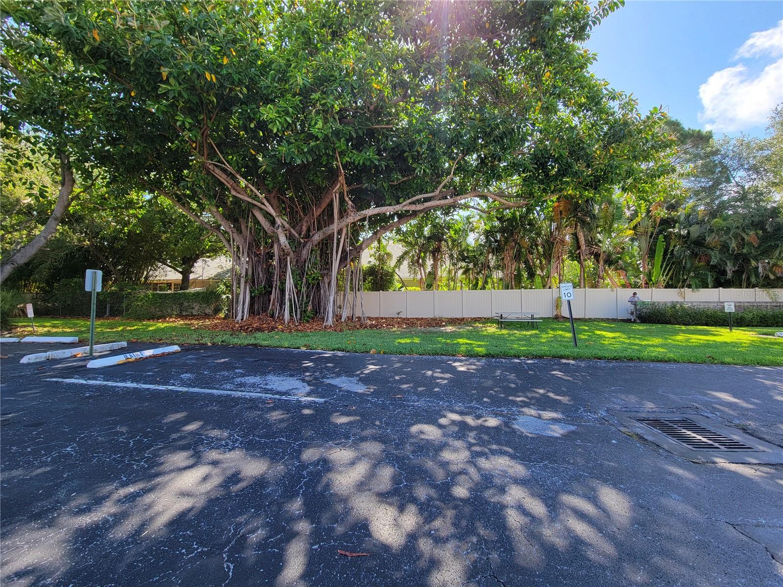 WINSTON PARK NORTHEAST - Residential