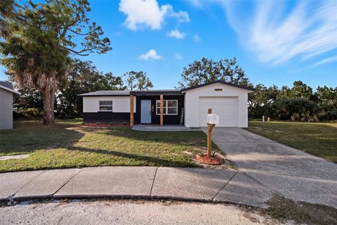 6919 KINGSTON COURT PORT RICHEY FL 34668
