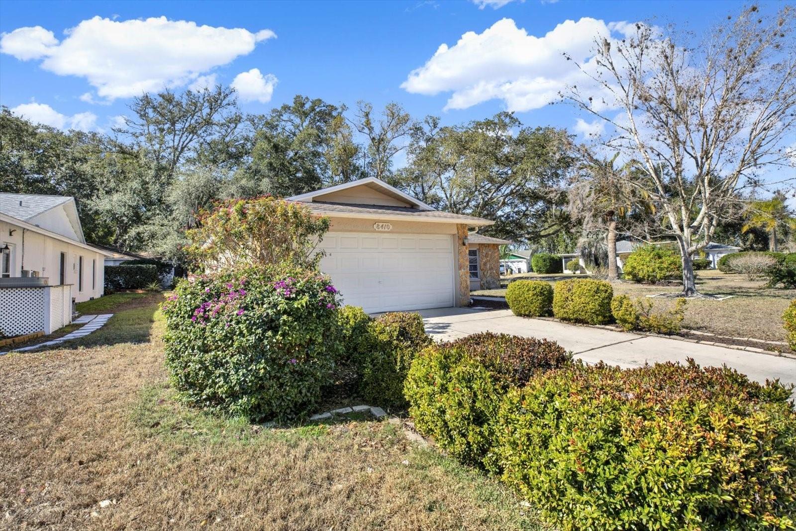 TIMBER OAKS - Residential