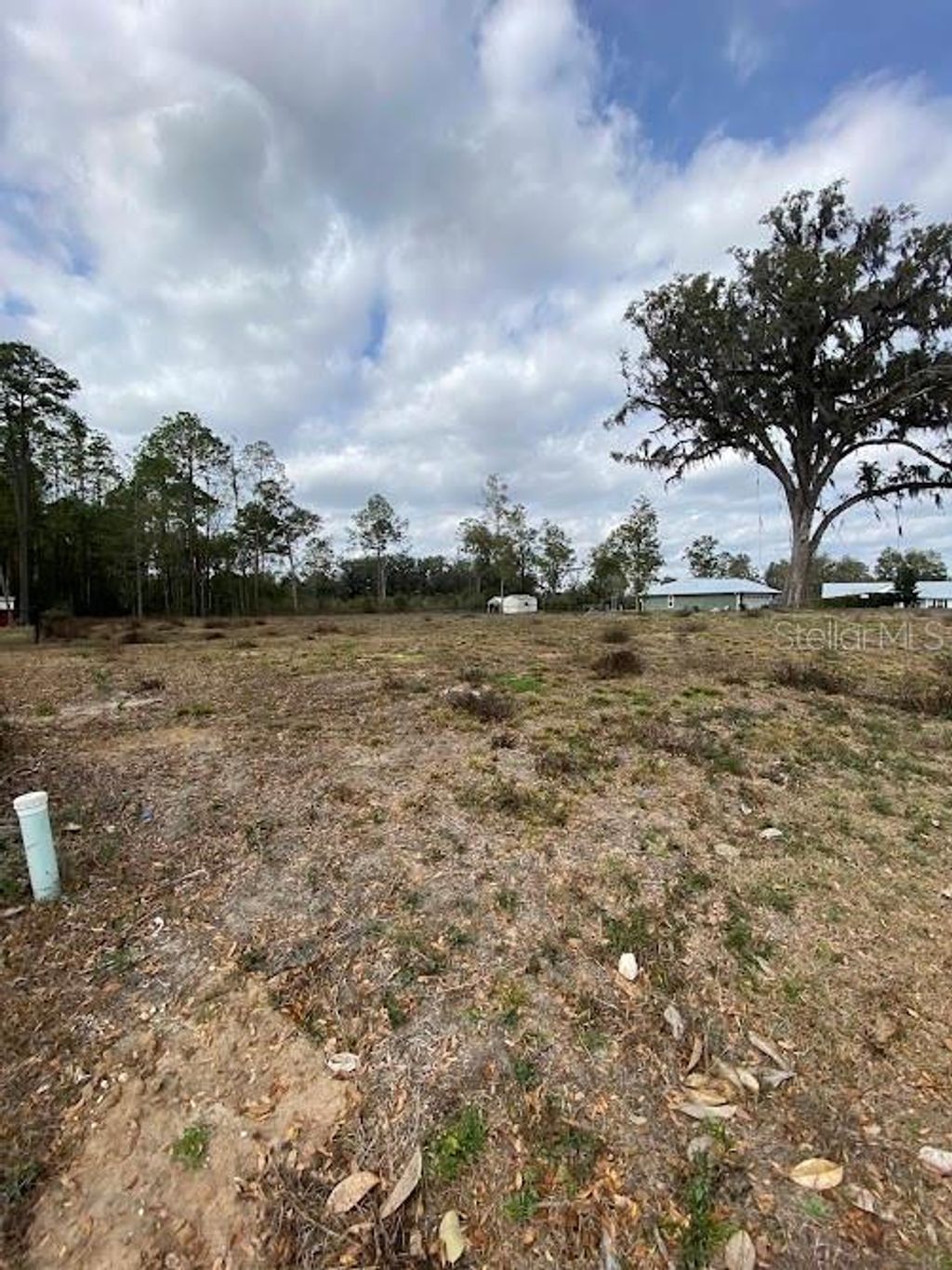 Photo of Tbd SW 9th Street, Williston, FL 32696 (MLS # GC537724)