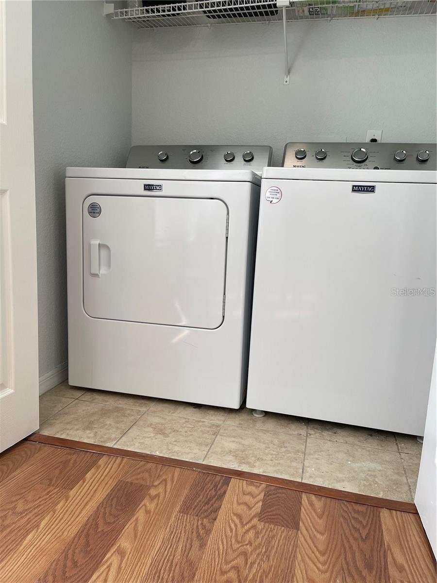 RESIDENCES/MILLENIA - Residential Lease