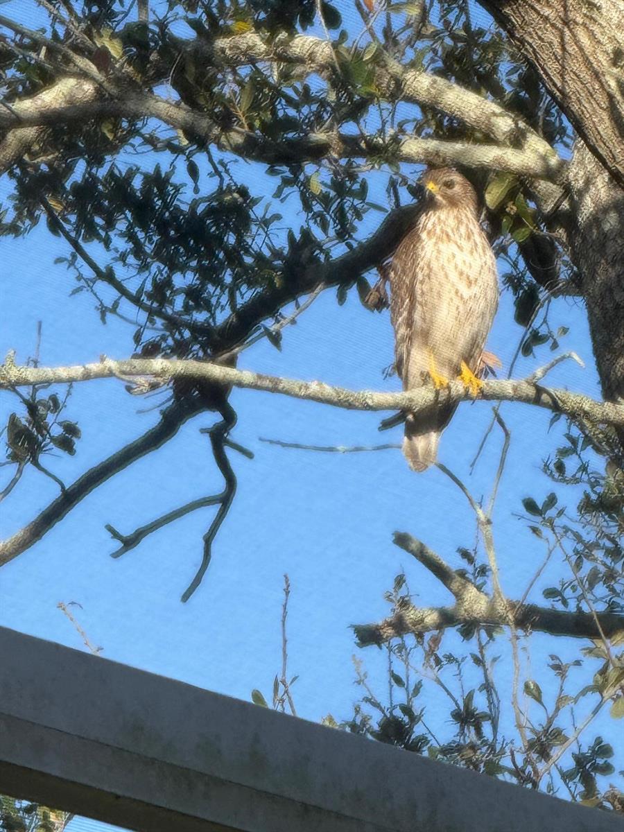 PERIDIA ISLE - Residential