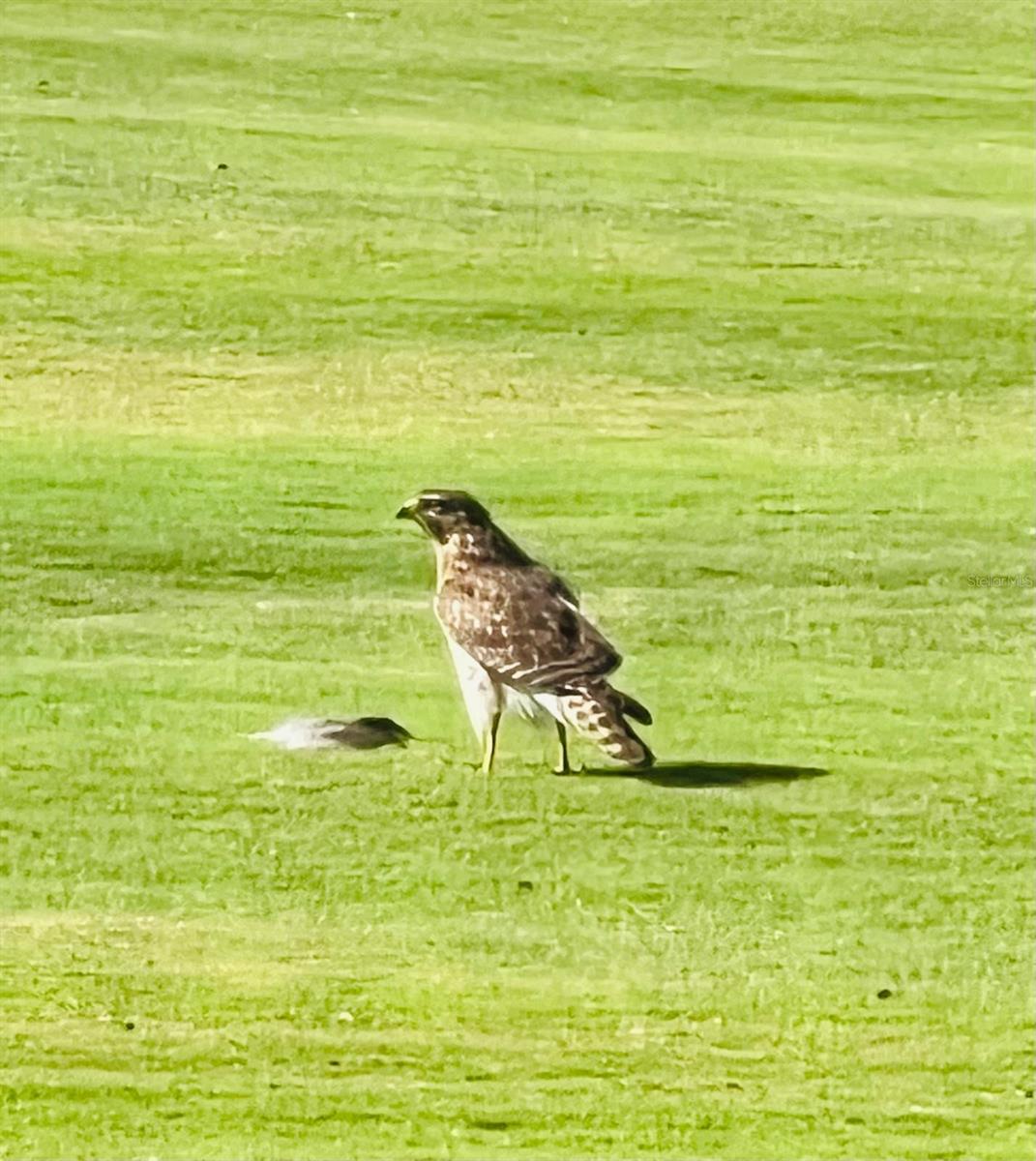 PERIDIA ISLE - Residential