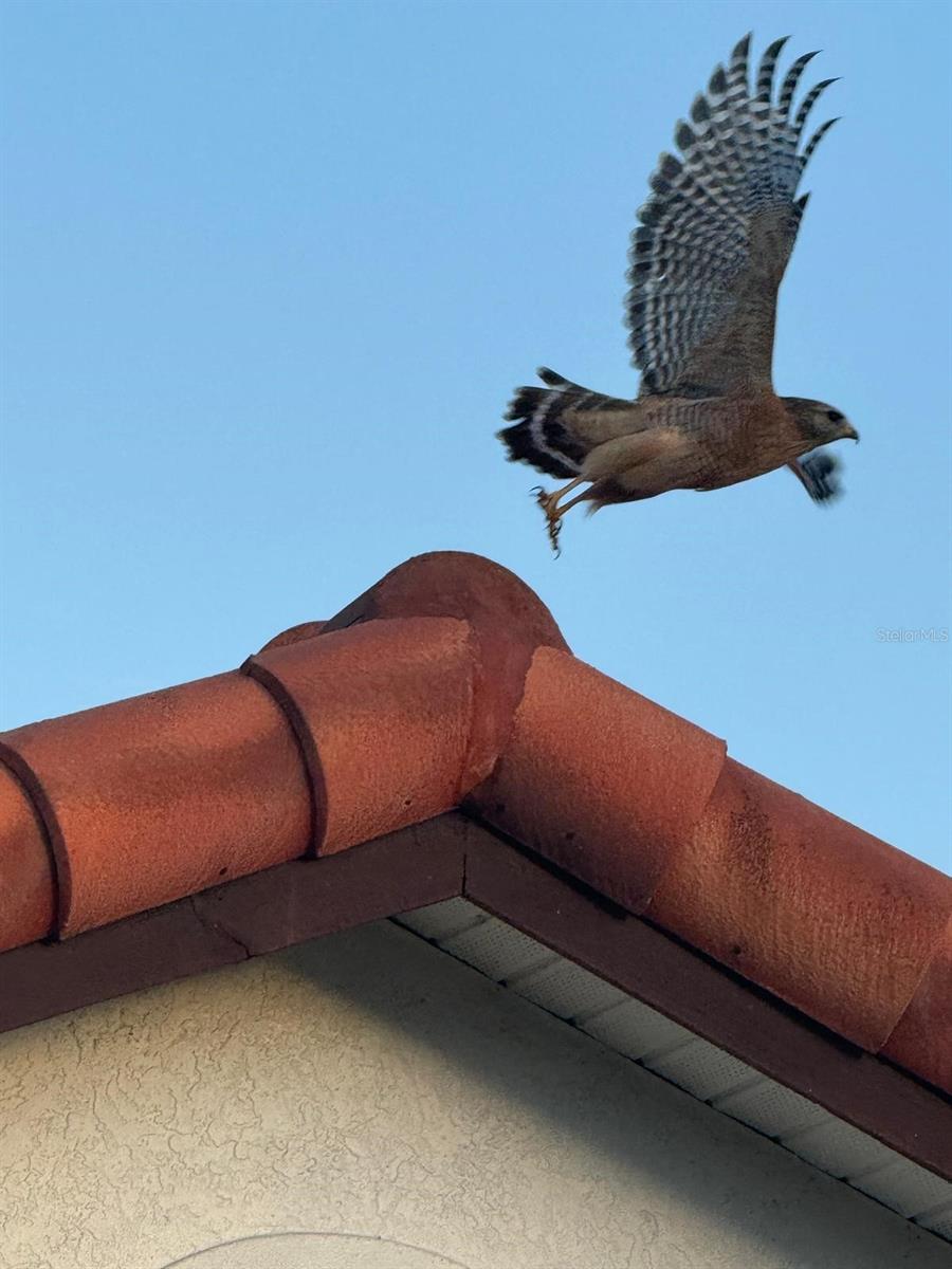 PERIDIA ISLE - Residential