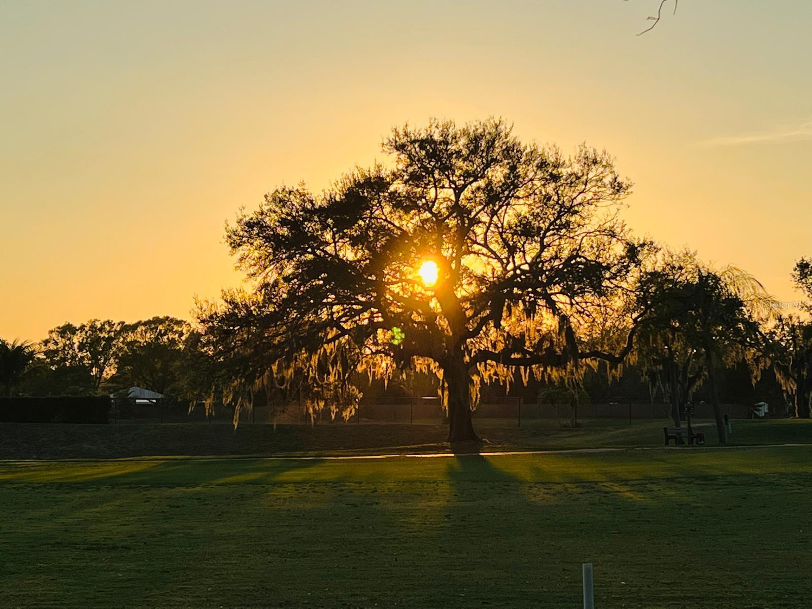 PERIDIA ISLE - Residential