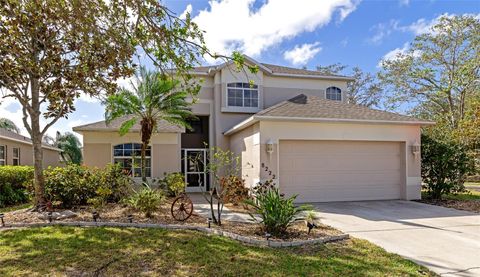 A home in BRADENTON