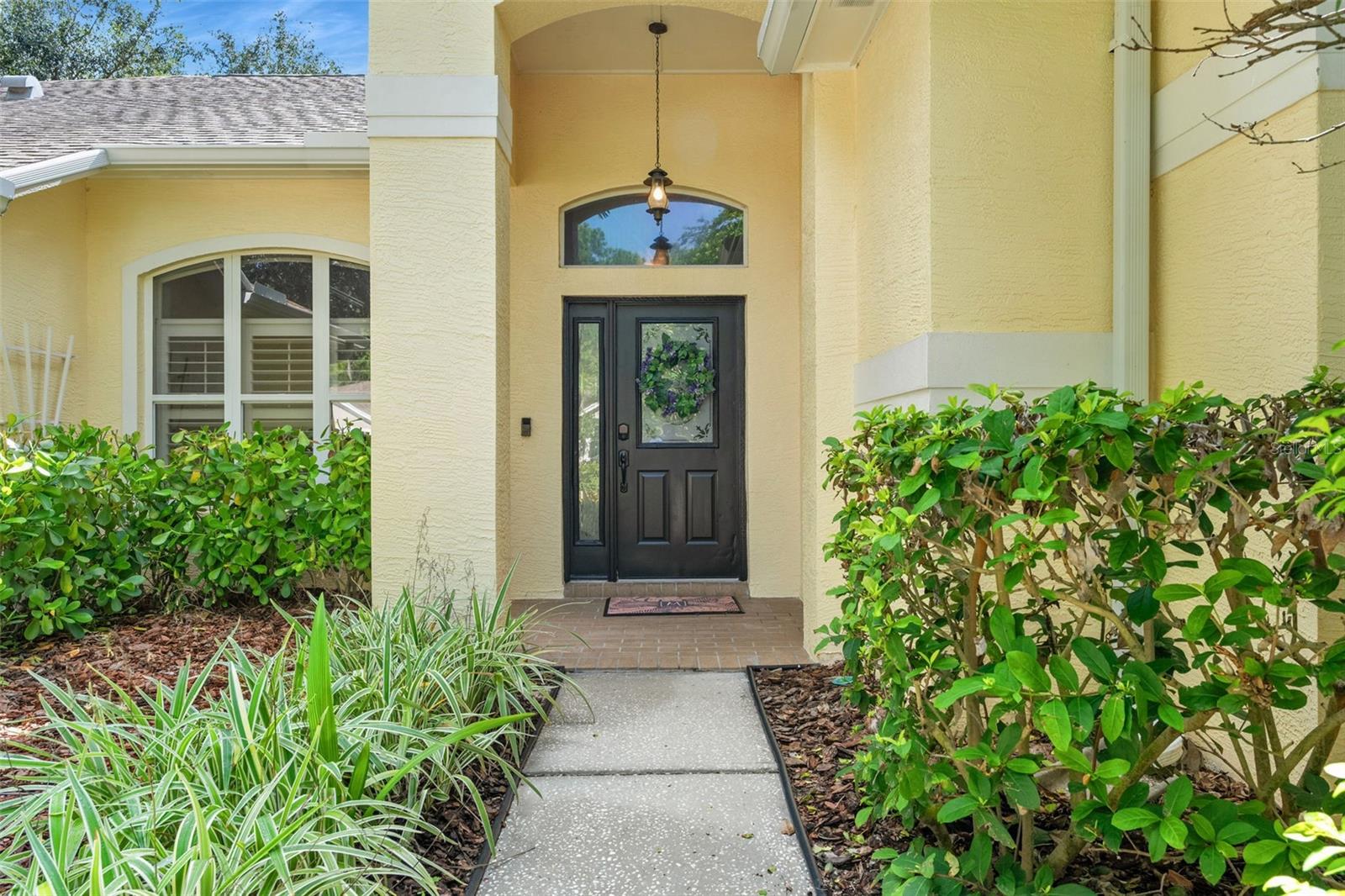 4681 ILEX COURT