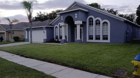 A home in RIVERVIEW