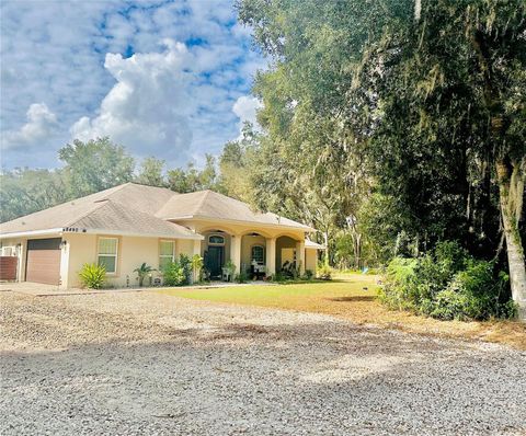 A home in BELLEVIEW