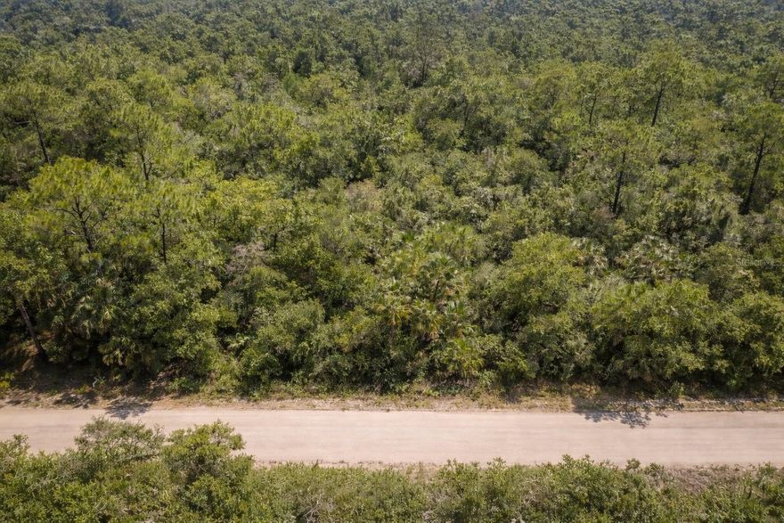 Located just two blocks from Lake August close to Lake June, this property at 823 Durmon Ave in Lake Placid offers a great opportunity to build your dream home. Situated in a quiet neighborhood, the lot provides convenient access to the lake along with nearby local shops and dining. Whether you're planning a full-time residence or a seasonal property, this location offers the space and flexibility to create a home that fits your vision (Image May Be Virtually Enhanced)