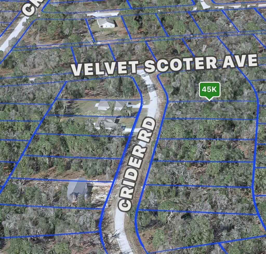 Photo of Crider Road #3, Weeki Wachee, FL 34614 (MLS # W7887668)