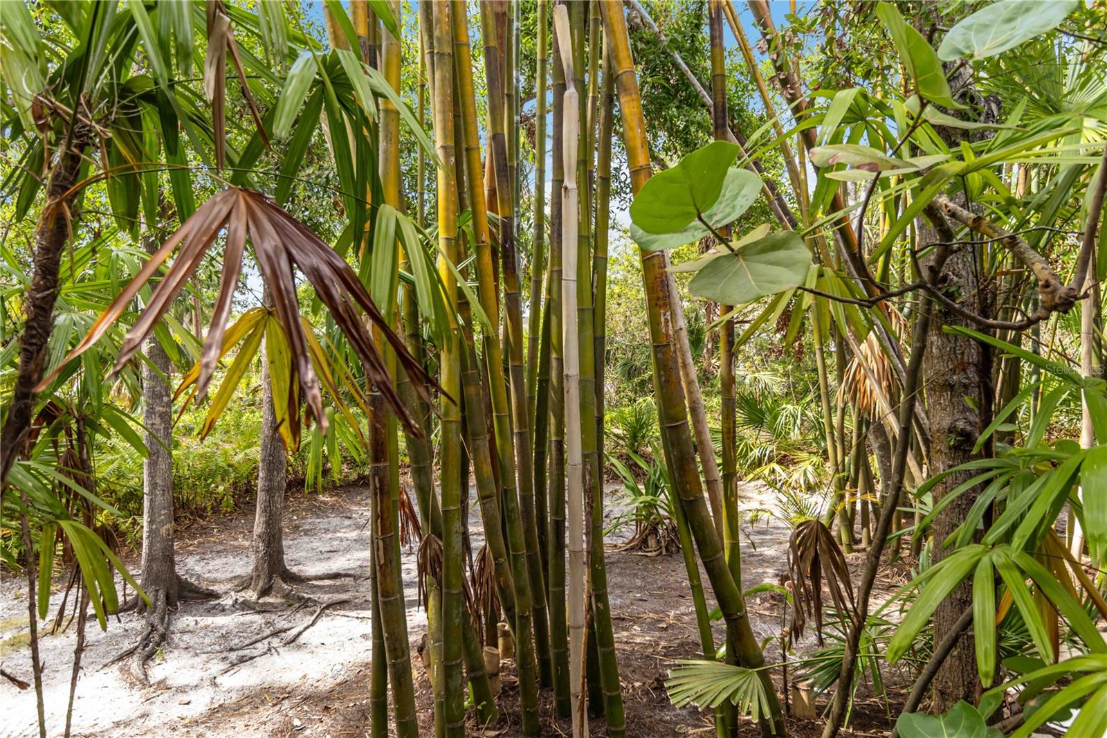 BERMUDA PARK - Residential Lease