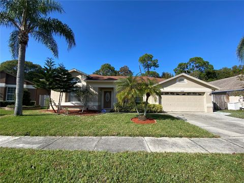 A home in TAMPA