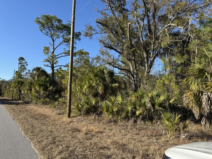 this vacant land has 3 quarter acre lots together, close to all shops, but quite area. It is an awesome choice for building your dream home here.