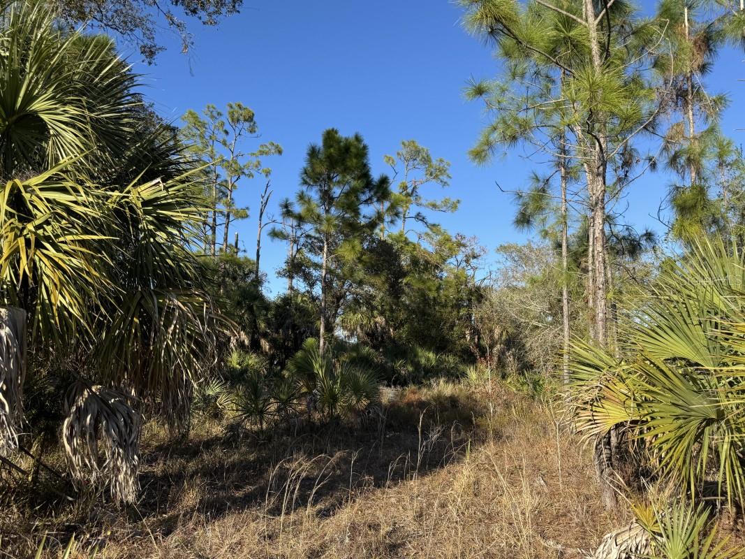 PORT CHARLOTTE SEC 032 - Land