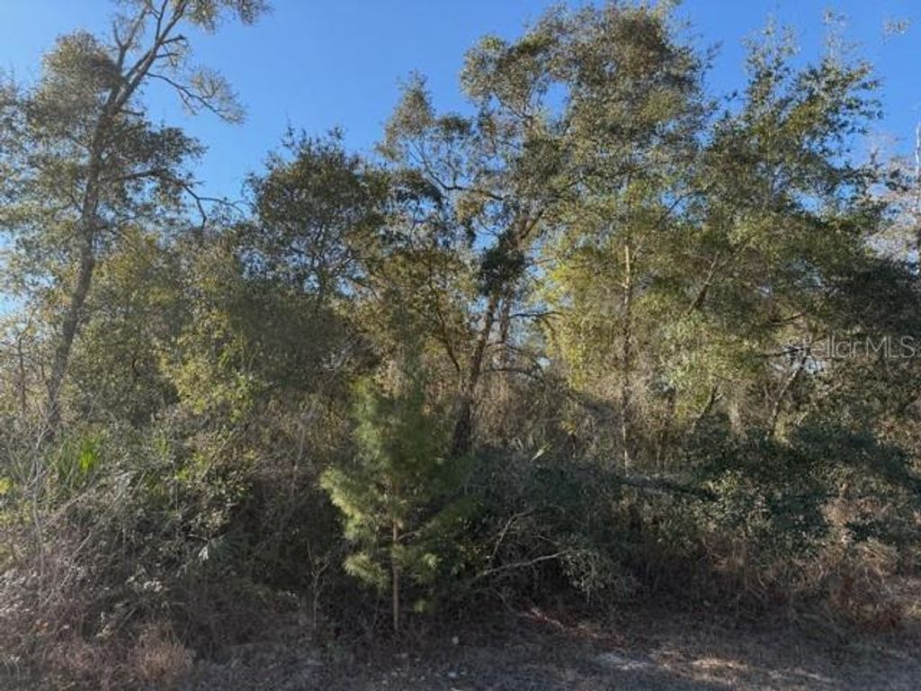 Photo of Tbd SW 158th Street Road, Ocala, FL 34473 (MLS # OM718055)