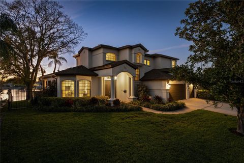 Photo of 3598 10th Street NE, St Petersburg, FL 33704 (MLS # O6375817)