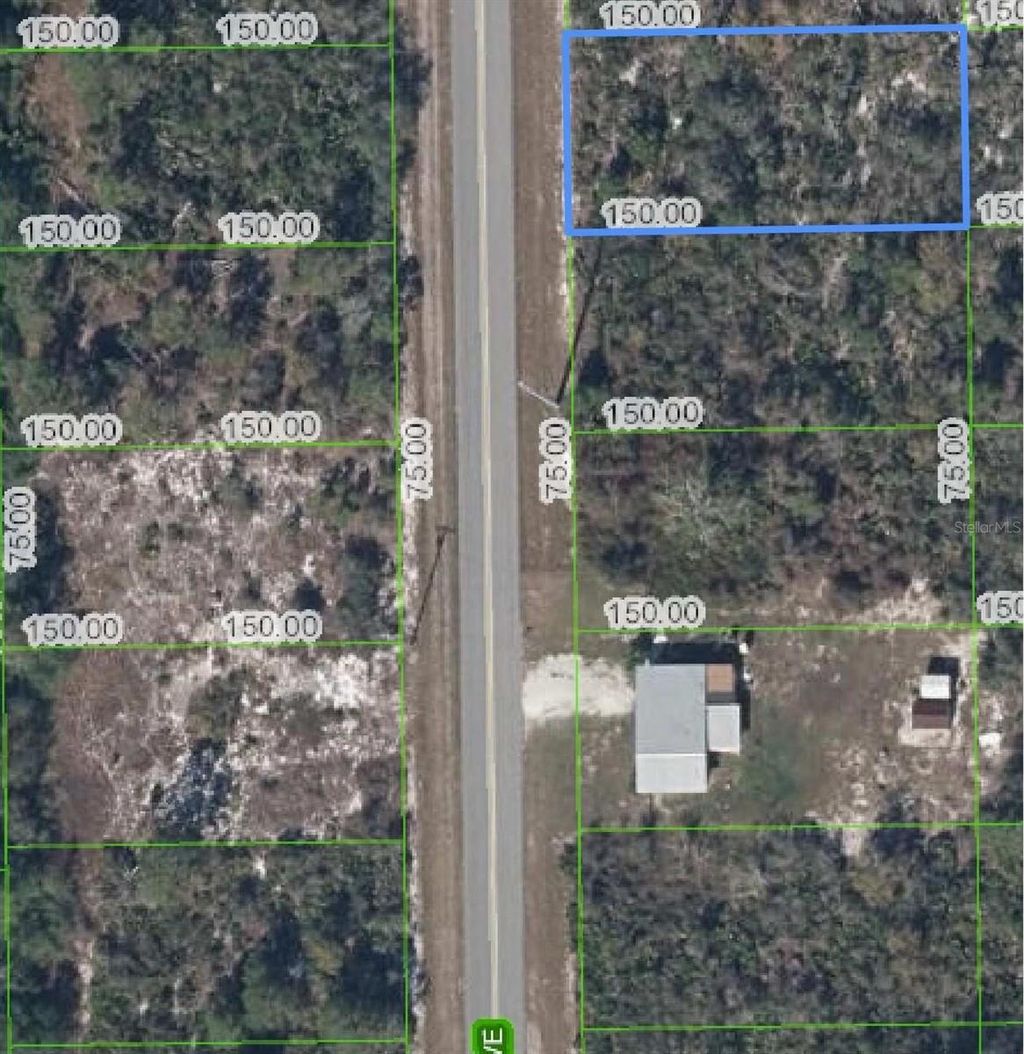 Photo of 411 Hallmark Avenue, Lake Placid, FL 33852 (MLS # O6247805)