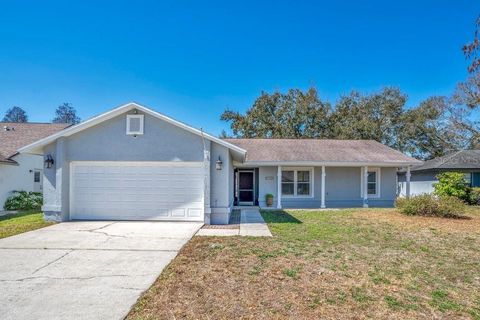 Photo of 6704 Seafairer Drive, Tampa, FL 33615 (MLS # TB8479841)