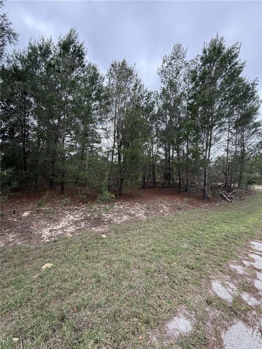 Photo of Tbd Malauka Track, Ocklawaha, FL 32179 (MLS # TB8494353)