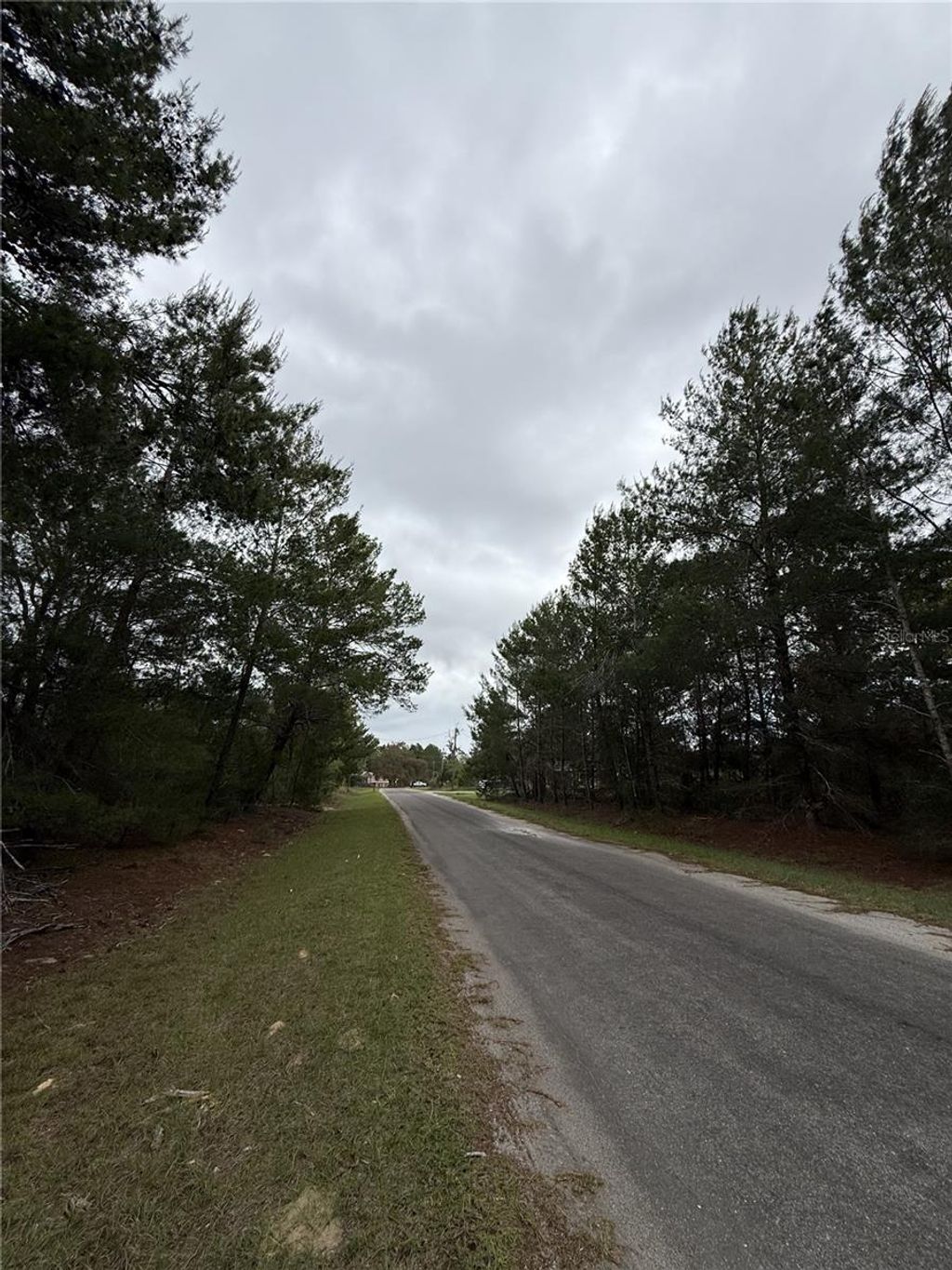 Photo of Tbd Malauka Track, Ocklawaha, FL 32179 (MLS # TB8494353)