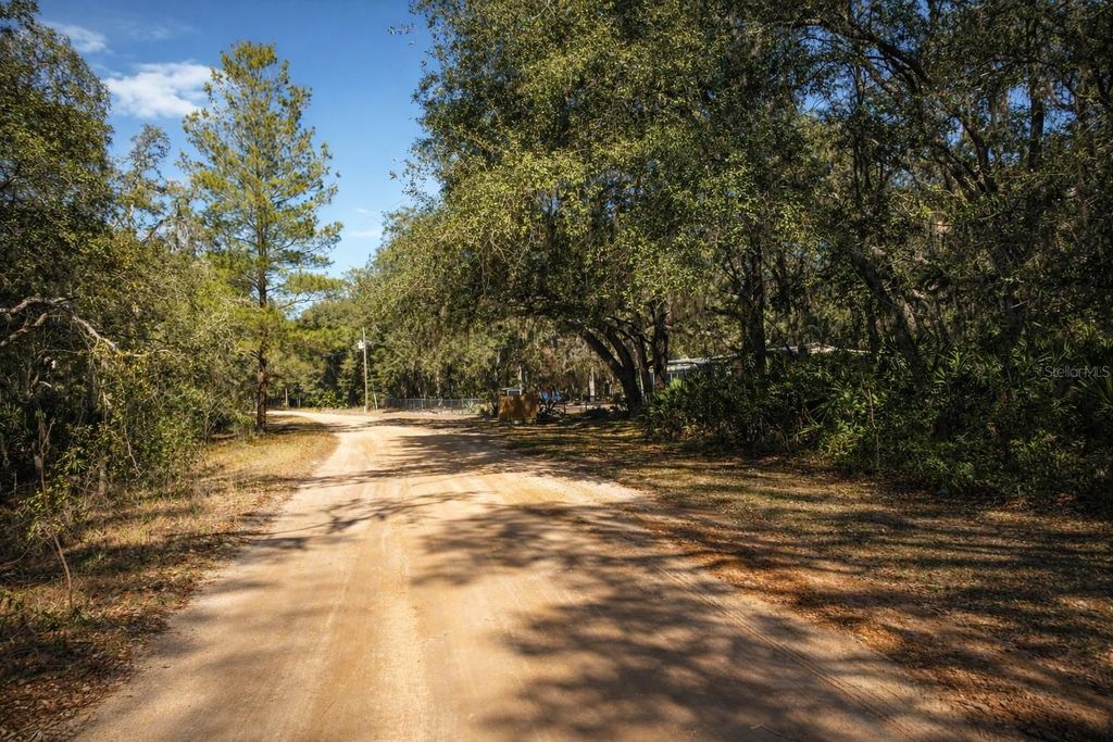 Photo of 202 Mimosa Drive, Hawthorne, FL 32640 (MLS # GC536888)