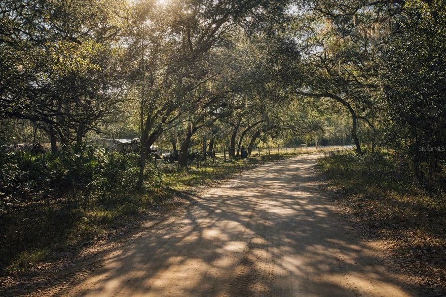 Discover this beautiful over 1-acre wooded lot tucked away on the outskirts of Hawthorne! Located just a few hundred feet off a dirt road, this property offers easy access while still providing privacy and a peaceful, country setting. Enjoy the best of both worlds—less than 10 minutes to downtown Hawthorne and only 20 minutes to Gainesville, giving you quick access to shopping, dining, and everyday conveniences. Whether you’re looking to build or invest, this lot offers the quiet charm of rural living without sacrificing modern amenities. Call today—this opportunity won’t last long!