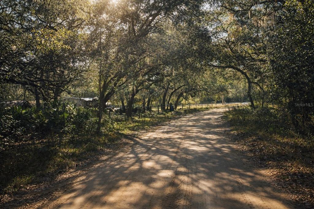 Photo of 202 Mimosa Drive, Hawthorne, FL 32640 (MLS # GC536888)